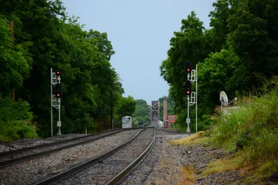 DSC_2222 (Large).JPG